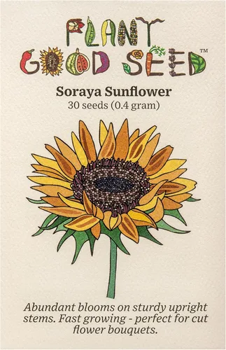 Miniatura 10 de Plant Good Seed Semillas de girasol orgánicas Double Goldy F1 – Paquete de 50, semillas tradicionales para plantar flores, suministros