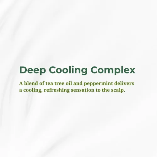 Miniatura 8 de Daeng Gi Meo Ri Tea Tree Cool Treatment Acondicionador refrescante para el cuero cabelludo con árbol de té y menta Hidratación profunda, suaviza