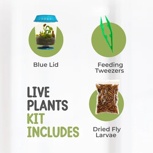 Miniatura 7 de Venus - Trampa para moscas con terrario azul de 4.5 pulgadas + plantas carnívoras paquete de alimentos con pinzas de alimentación, suelo para Tapa