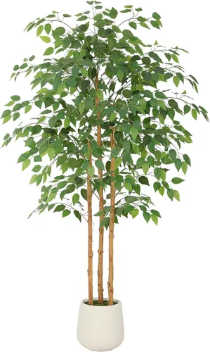 Miniatura 9 de Nafresh Árbol de ficus artificial alto resistente a los rayos UV, árbol de ficus sintético de 5 pies (60 pulgadas) con hojas realistas suaves