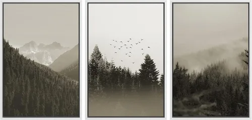 Miniatura 56 de SIGNWIN Lienzo enmarcado para pared, juego de arte nublado de tormenta, cielo, bosque otoñal, árboles, rústico, naturaleza, fotografía, realismo