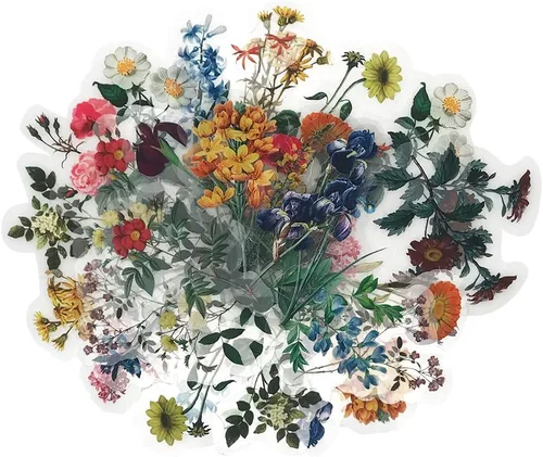 Calcomanías naturales vintage, 40 piezas bonitas florales decorativas retro adhesivas acuarela estética moderna para álbumes de recortes, bricolaje,