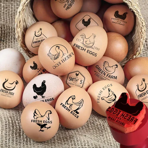 Sellos de huevos personalizados para huevos frescos, sello de huevo de pollo personalizado con logotipo de nombre, sello de huevo personalizado para