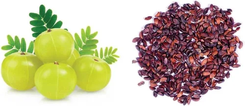 Semillas indias de amla para plantar, fáciles de cultivar y de alto rendimiento, semillas de grosella espinosa de jardín en casa, adecuadas para