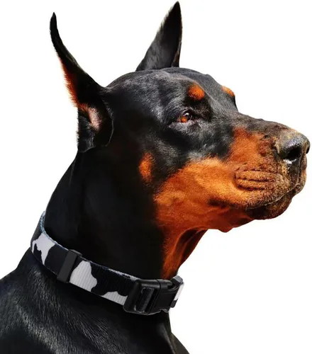 Miniatura 5 de Collar de perro con estampado de vaca, patrón animal para perros, blanco y negro, pequeño B_Estampado De Vaca