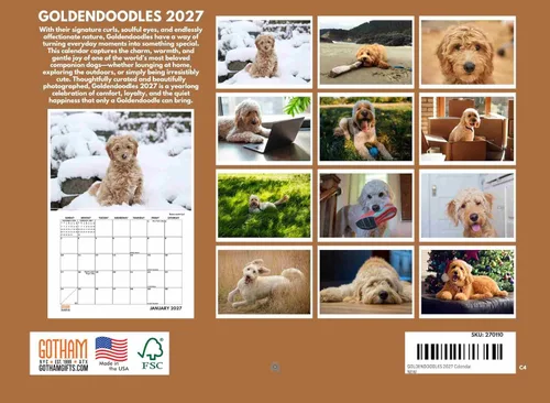 Miniatura 2 de Calendario Goldendoodle 2027 Golden Doodle mensual de pared, 12 meses 8-Calendar