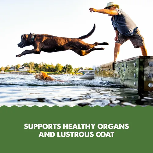 Miniatura 5 de Grizzly Pet Products Algal Plus Omega 3-6-9 Suplemento alimenticio para perros y gatos, botella de 8 onzas