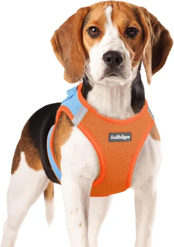 Miniatura 125 de rabbitgoo Arnés para perro pequeño, chaleco de malla suave para cachorros con hebilla de seguridad, arnés reflectante transpirable para mascotas