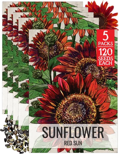 Miniatura 64 de Seed Needs Semillas de girasol para plantar girasoles de manchas solares enanas, semillas de flores de corte anual de polinización abierta