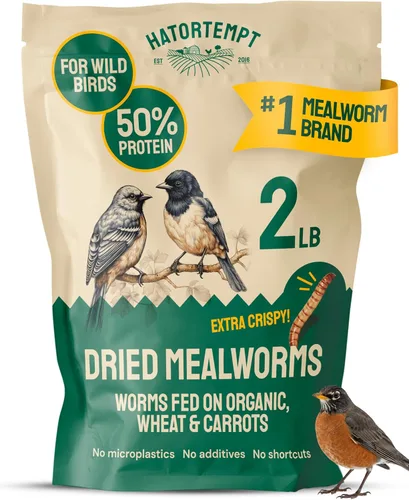 Miniatura 13 de Hatortempt Gusanos de harina secos a granel, bolsa de 10 libras, gusanos de harina secos para pollos, patos y aves silvestres, alimento para aves