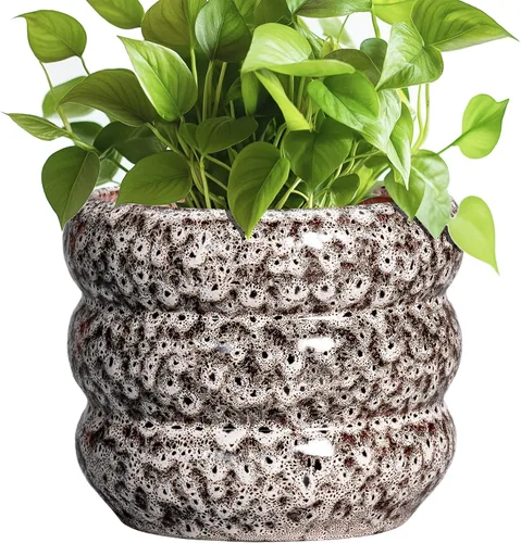 Miniatura 23 de Maceta de cerámica SQOWL para plantas de 8 pulgadas - Maceta de interior con orificio de drenaje para plantas de exterior, maceta floral moderna