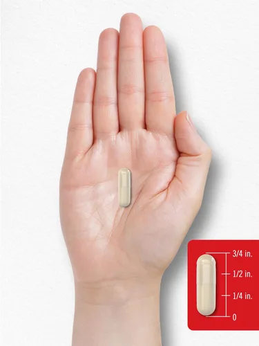 Miniatura 8 de Suplemento de vitamina K2 Carlyle 100 mcg K2 MK-4 240 cápsulas Sin OGM y sin gluten