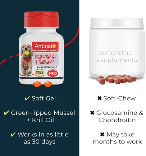 Miniatura 7 de Antinol Plus, suplemento para movilidad, cadera y articulaciones para perros, con almejas de lapa verde y aceite de krill - suplemento