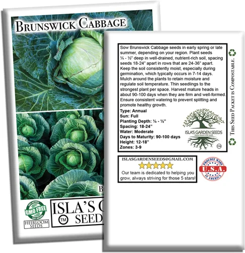Miniatura 7 de Semillas de col Brunswick (Brassica oleracea) – Más de 300 semillas sin OMG y reliquias de Isla's Garden Seeds, cabezas verdes grandes y densas