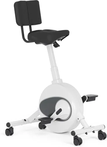 Miniatura 10 de FLEXISPOT Bicicleta de ejercicio con escritorio 2D, bicicleta bajo escritorio que ahorra espacio con escritorio removible, bicicletas estacionarias