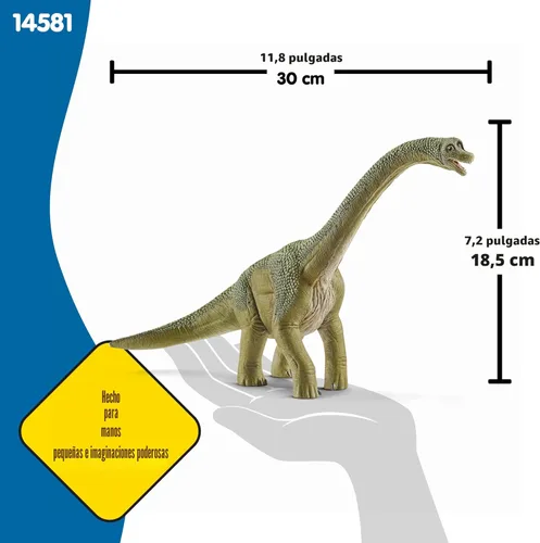 Miniatura 4 de Schleich Dinosaurios – Brachiosaurus de 9.5 pulgadas – Juguete realista y duradero de dinosaurio verde – Divertida figura educativa de dinosaurio