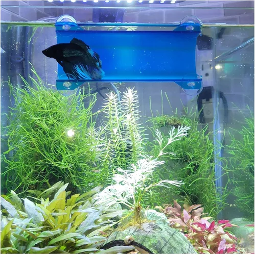Miniatura 14 de Marca Betta Tunnel (negro opaco)