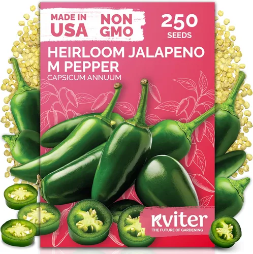 Miniatura 12 de KVITER 3100 semillas de zanahoria tiernas para plantar (Daucus carota) - Semillas de vegetales sin OMG para jardín al aire libre - Zanahorias dulces