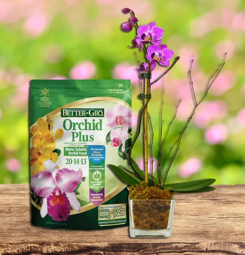 Miniatura 9 de Sun Bulb 8303 mejor Gro Orquídea Plus, 16 onzas