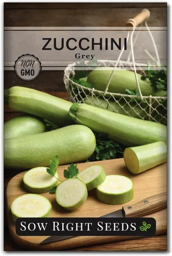 Sow Right Seeds - Semilla de calabacín gris para plantar - Paquete de reliquia sin OMG con instrucciones para plantar un huerto casero - Calabacín