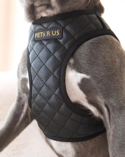 Miniatura 4 de Arnés para perro y gato, ligero de malla transpirable, suave acolchado para mascotas, chaleco de cuero vegano, sin estrangulamiento, a prueba