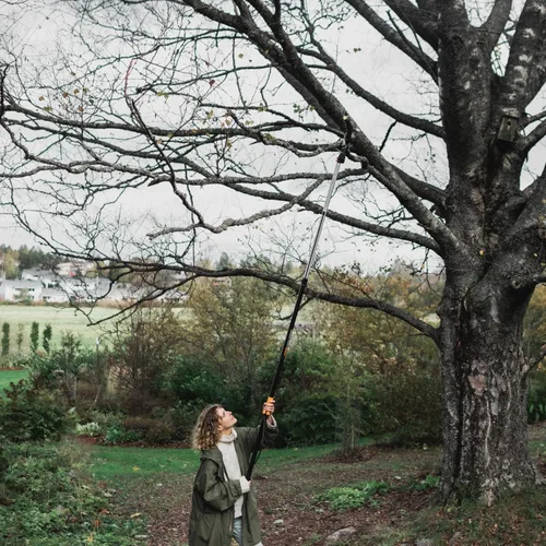 Miniatura 8 de Fiskars - Podadora extensible para recortar ramas de árboles