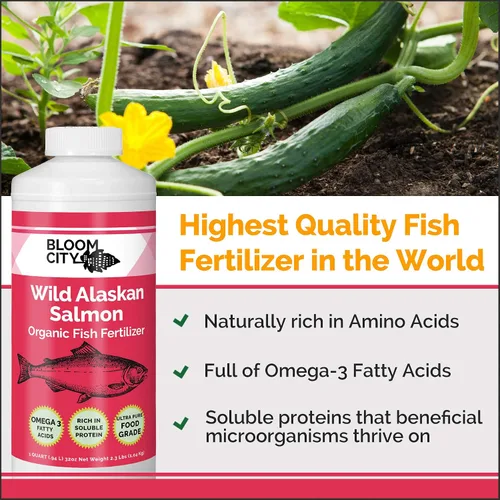 Miniatura 2 de Bloom City Fertilizante orgánico de pescado silvestre y suplemento vegetal, ideal para raíces y suelo, hecho de salmón sostenible, 1/2 pinta (8 oz)