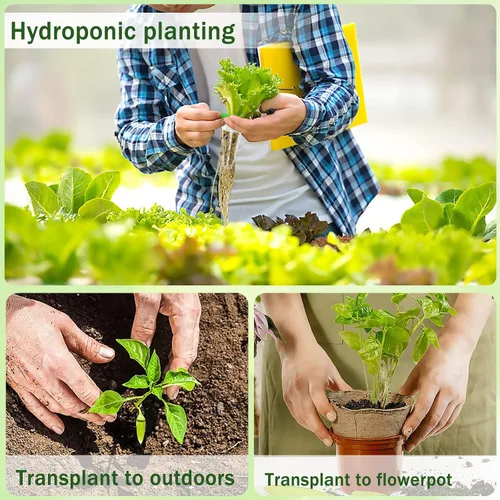 Miniatura 5 de DECYOOL Cápsulas de semillas de jardín, kit de 48 cápsulas hidropónicas: kit de cultivo de cualquier cosa con 12 cestas de cultivo, 12 esponjas