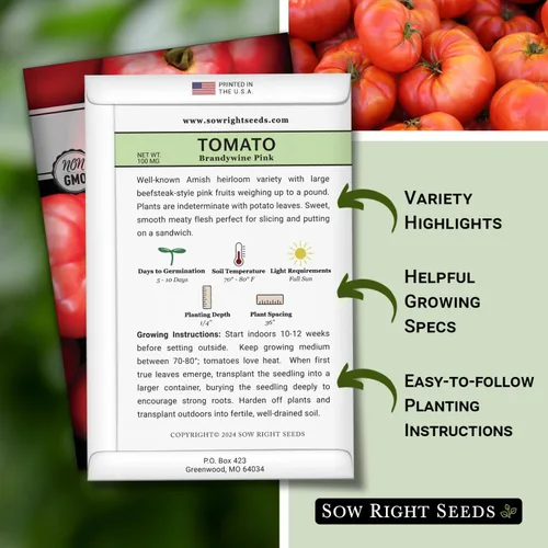 Miniatura 2 de Sow Right Seeds - Semillas de tomate rosa Brandywine para plantar - Tomates de filete de res sin OMG - Frutas grandes y jugosas para jardín