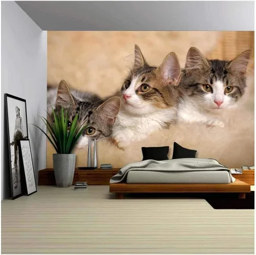 Miniatura 11 de wall26. Papel para empapelar autoadhesivo, grande, serie de mural., WMR-WP-X-C411-66x24x4