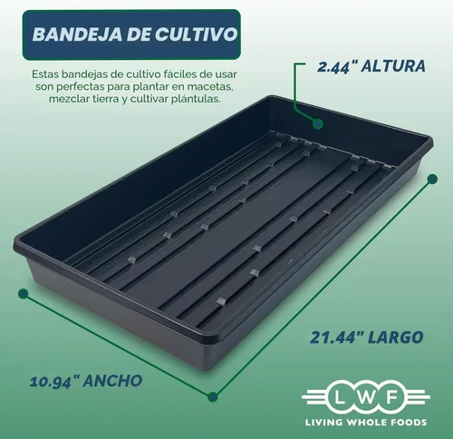 Miniatura 2 de 10 bandejas de cultivo de plantas (sin agujeros de drenaje) – 20 x 10 pulgadas – Bandejas de cultivo perfectas para semillas de jardín