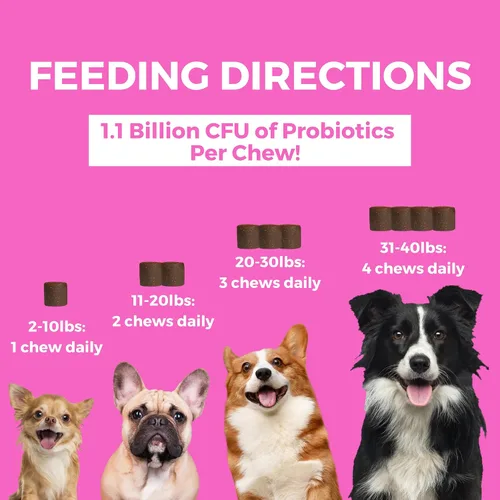 Miniatura 3 de Nootie Progility - Mini suplemento pre y probiótico, suplemento de ayuda digestiva para perros, 60 masticables suaves por envase