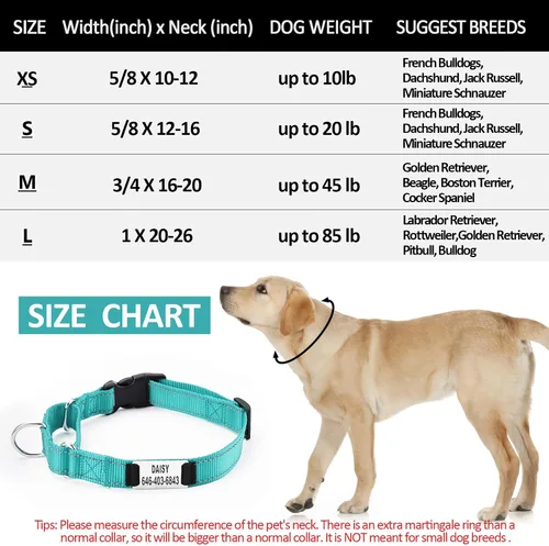 Miniatura 7 de Collar de perro Martingala personalizado con hebilla de bloqueo, collares de perro Martingala de entrenamiento personalizados grabados con nombre