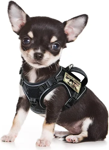 Arnés táctico para perro, pequeño, chaleco militar K9 para cachorro, arnés para entrenamiento al aire libre, XS con asa Negro