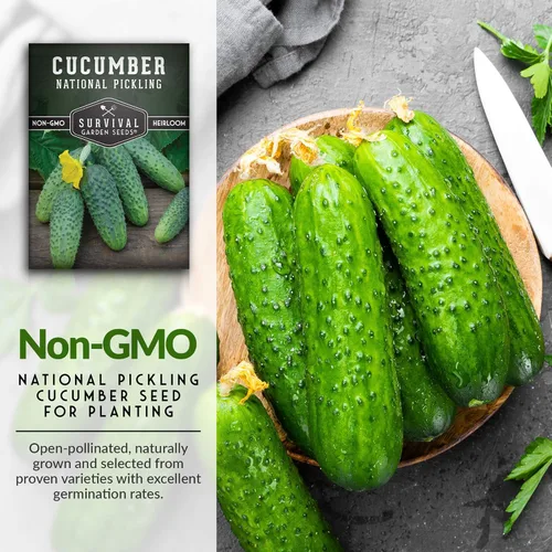 Miniatura 3 de Survival Garden Seeds National Pickling - Semillas de pepino para plantar Variedad tradicional sin OMG para encurtidos caseros crujientes