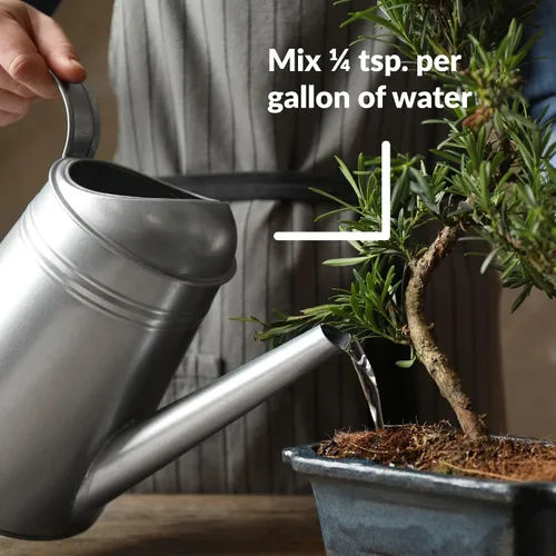 Miniatura 5 de Dyna-Gro BON-008 Bonsai-Pro Fertilizante líquido para plantas 7-9-5, 8 onzas.