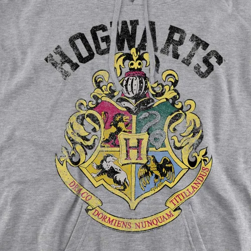 Miniatura 2 de Trevco Harry Potter Hogwarts Crest - Sudadera con capucha unisex para adultos