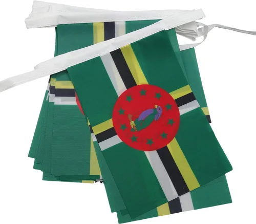 Miniatura 148 de AZ FLAG Señal marítima internacional 42.7 ft BUNTING Flag 40 banderas 9'' x 6'' - Banderas de cuerda del alfabeto náutico 5.9 x 8.3 in