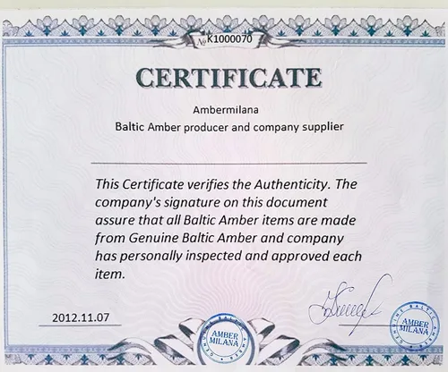 AMBERMILANA Ámbar báltico fósil natural con inclusión de insectos en caja de aumento/hermoso grado de museo/ámbar báltico genuino certificado