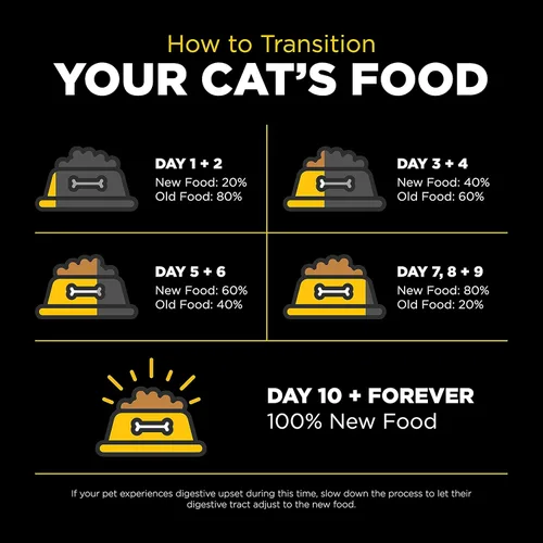 Miniatura 8 de Go! Solutions Sensitivities Limited Ingredient Duck Grain-Free Dry Cat Food, Chicken-Free Kibble Made by Experts for Sensitive Stomachs & Food