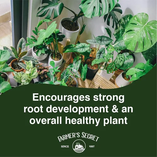 Miniatura 5 de Farmer's Secret Potenciador tropical para plantas de interior (4 onzas), súper concentrado, hace 48 galones, ideal para todas las plantas