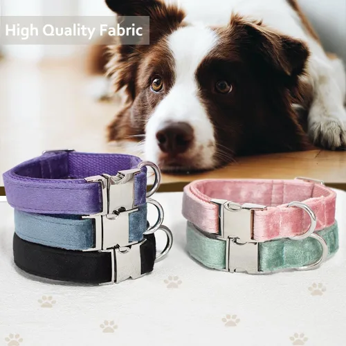 Miniatura 5 de Bubblepup Collar de terciopelo para perro, collar suave para perros pequeños, medianos y grandes