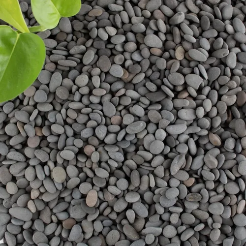 Miniatura 11 de Black Rock, CJGQ - Piedras de río de 3 libras para plantas suculentas, rocas decorativas para jardines de paisajismo al aire libre, piedras