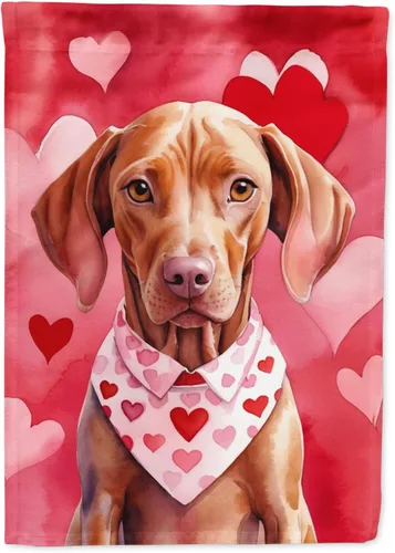 Miniatura 63 de Caroline's Treasures DAC5292CHF - Bandera de Border Collie My Valentine House para porche, grande, con manga para porche, para colgar en la pared