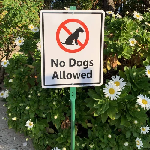 Miniatura 2 de SmartSign Letrero LawnBoss® con texto en inglés "No Dogs Allowed", letrero de aluminio de 10 x 12 pulgadas con estaca de 3 pies