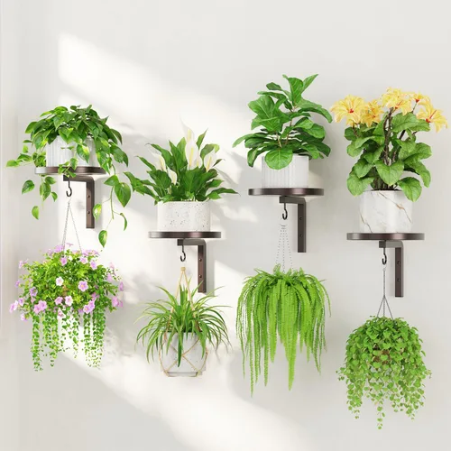 Miniatura 11 de LASZOLA 2 piezas de estantes de pared para plantas con ganchos para macetas de interior, soportes flotantes de ventana de metal resistente para Negro