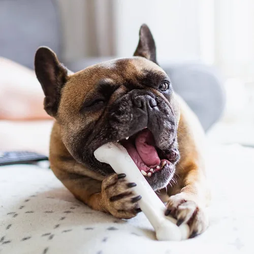 Miniatura 2 de Nylabone Original Bone Power Chew Toy para perros, juguetes duraderos y resistentes para masticadores agresivos, sabor a pollo, mediano - hasta 35