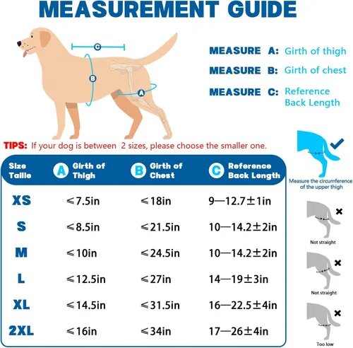 Miniatura 6 de Rodillera de perro para pierna trasera Acl, soporte de pierna de perro para pierna trasera, soporte de cadera ajustable para reducir el dolor