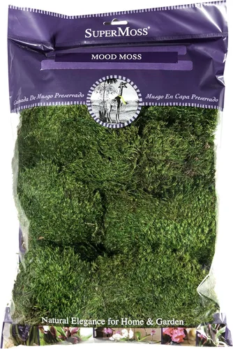 SuperMoss (21539) Mood Moss preservado, bolsa de 200 pulgadas cúbicas (aprox. 8 onzas), verde fresco