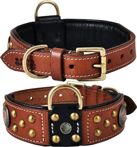 Collar de perro de la serie 'Cupola' de cuero genuino, conchos celtas y remaches de cúpula dorada, acolchado suave, hecho a mano, ideal para razas